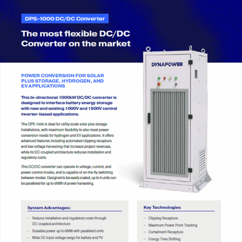 DPS 1000 Datasheet thumbnail image